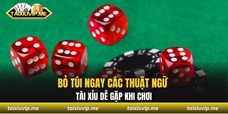 Bí Kíp Chơi Tài Xỉu Hiệu Quả Giúp Bạn Thắng Lớn Mỗi Ngày Bỏ túi ngay các thuật ngữ tài xỉu dễ gặp khi chơi